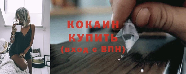 шишки Вязники