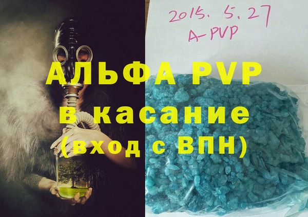 стаф Надым