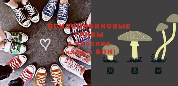 СК Ветлуга