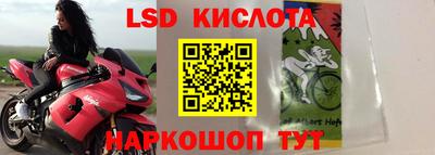 прущие грибы Гагарин