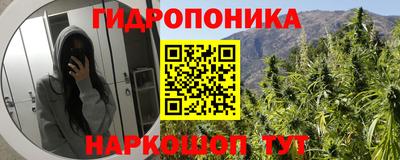 кокс Гатчина
