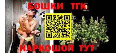 кокс Гатчина
