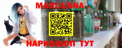 кокс Гатчина