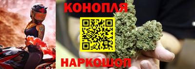 дурь Гай