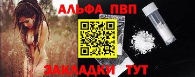 кокс Гатчина