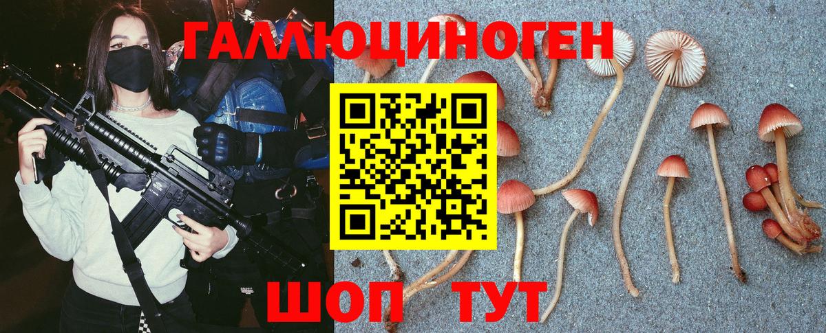 Галлюциногенные грибы ЛСД  Зеленогорск 