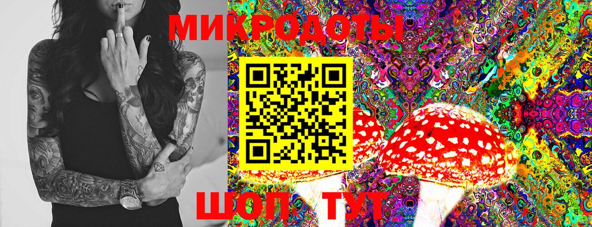 Псилоцибиновые грибы MAGIC MUSHROOMS Зеленогорск