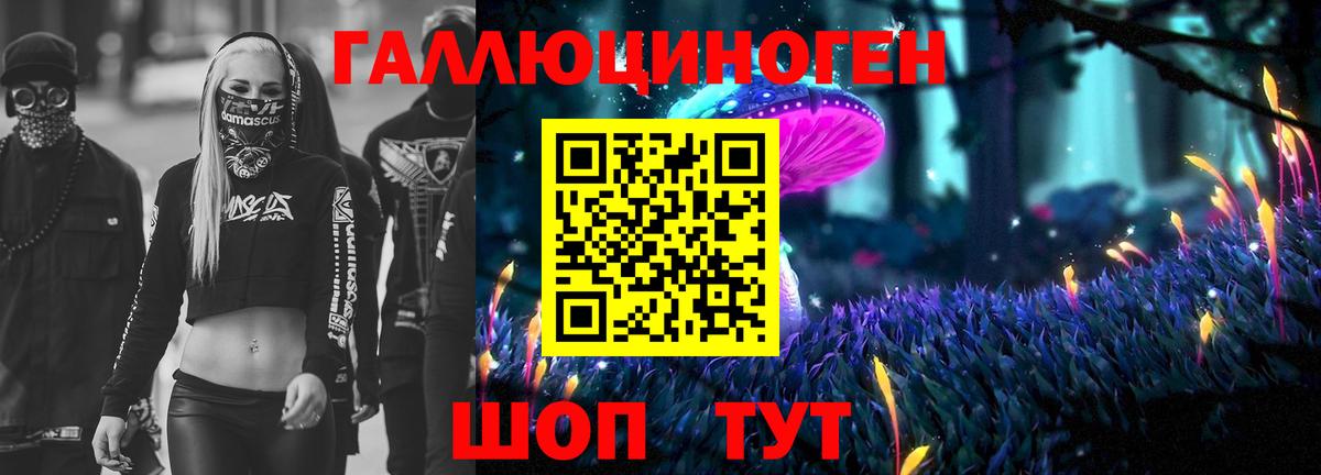 Галлюциногенные грибы ЛСД  Псилоцибиновые грибы мицелий  Вход с VPN  Зеленогорск 