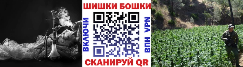 хочу   Зеленогорск  МАРИХУАНА сатива 